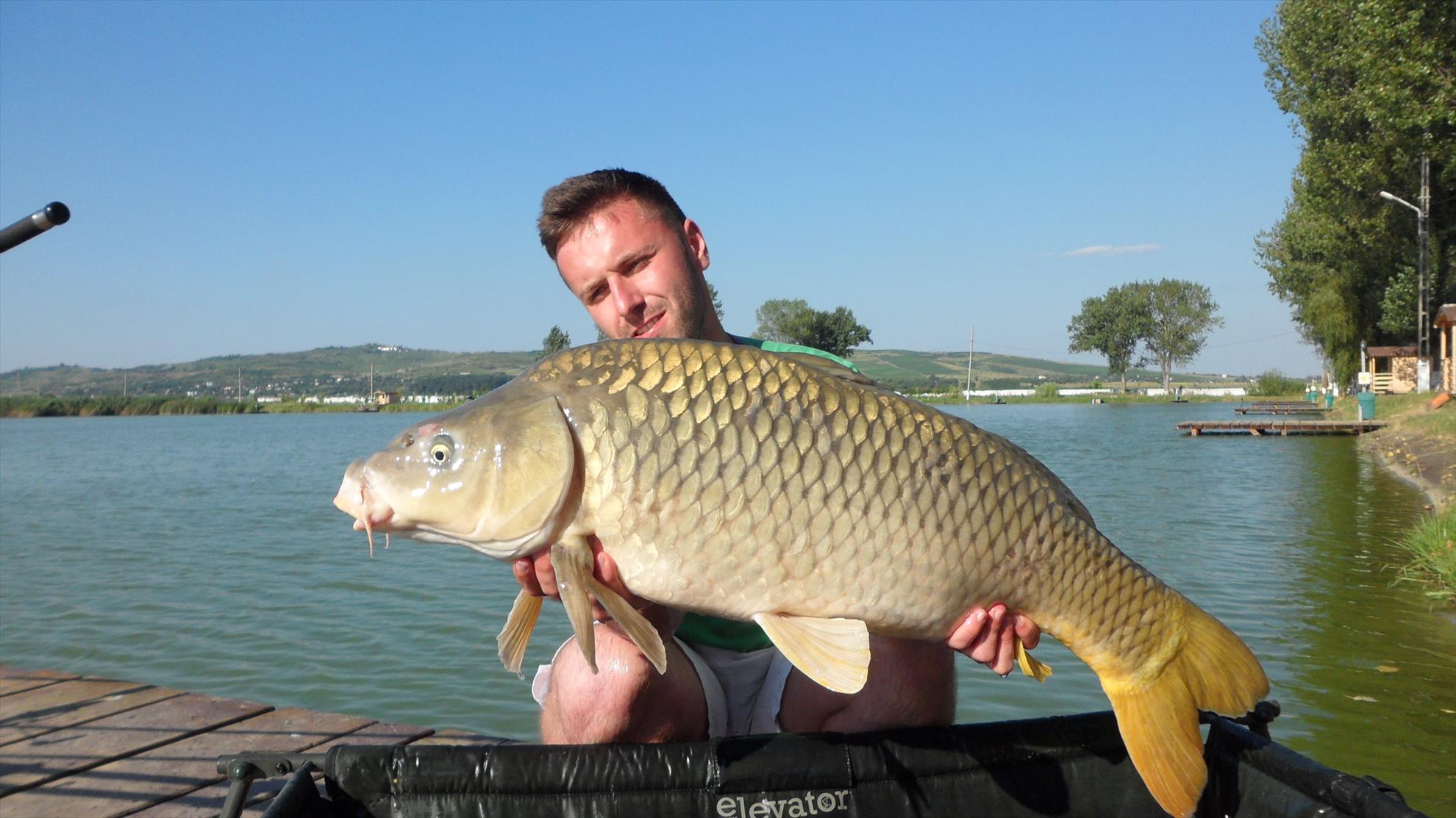 Pleasa1 18 - 20 august 2014 - sam0148.JPG